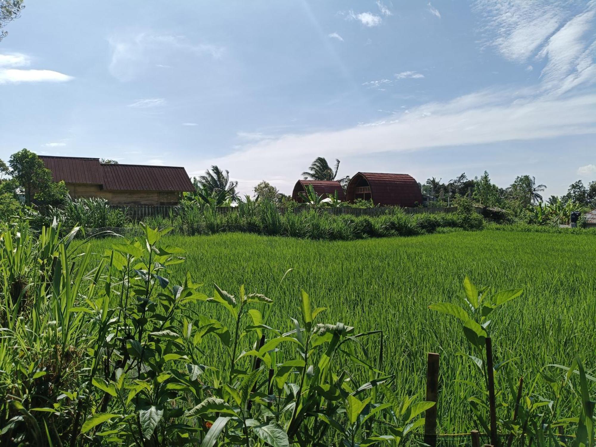 Raturinjani Homestay Selong 객실 사진